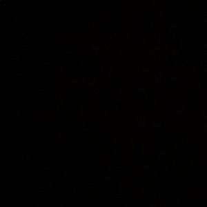 Meet your Posher, Kinzie